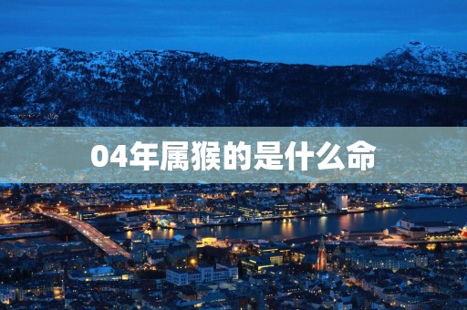 04年属猴的是什么命
