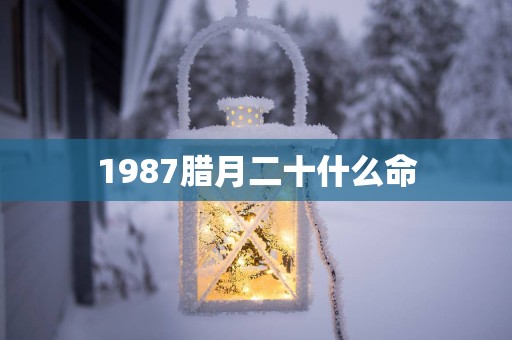 1987腊月二十什么命