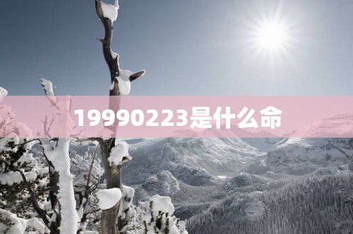 19990223是什么命