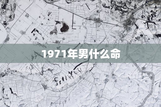 1971年男什么命