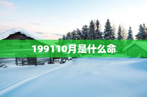199110月是什么命