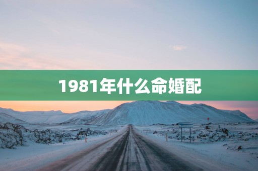 1981年什么命婚配