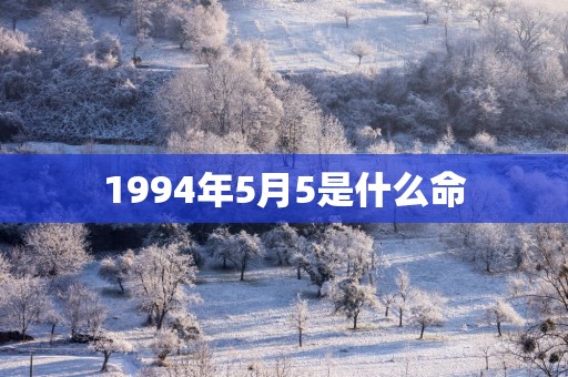 1994年5月5是什么命