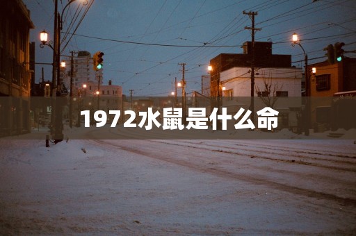 1972水鼠是什么命