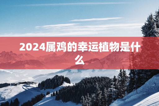 2025属鸡的幸运植物是什么