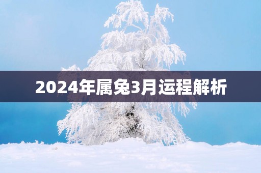 2025年属兔3月运程解析