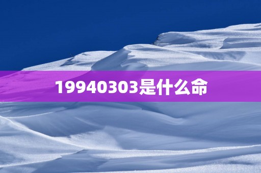 19940303是什么命