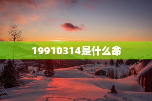 19910314是什么命