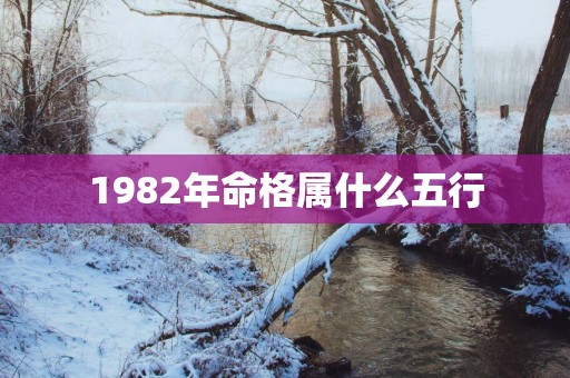 1982年命格属什么五行