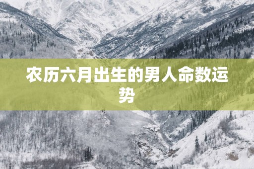农历六月出生的男人命数运势