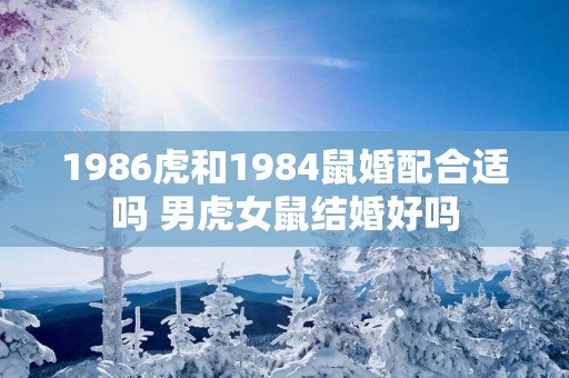 1986虎和1984鼠婚配合适吗 男虎女鼠结婚好吗