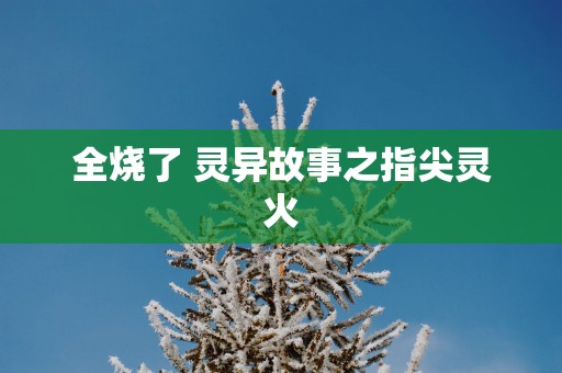 全烧了 灵异故事之指尖灵火