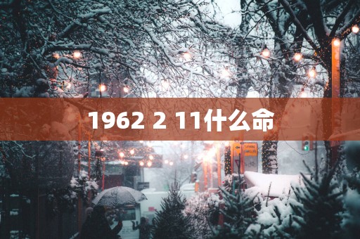 1962 2 11什么命