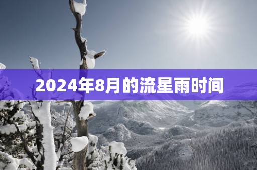 2025年8月的流星雨时间