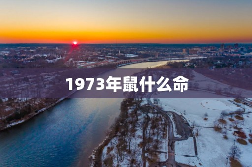 1973年鼠什么命