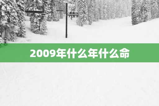 2009年什么年什么命