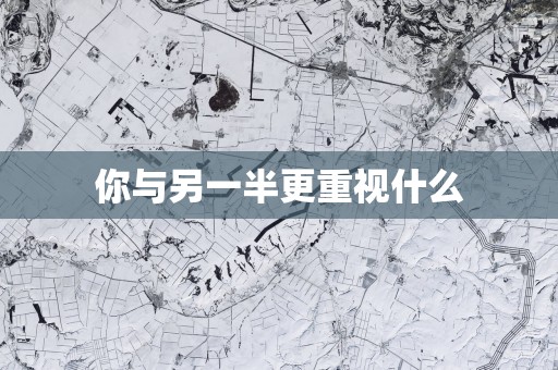 你与另一半更重视什么