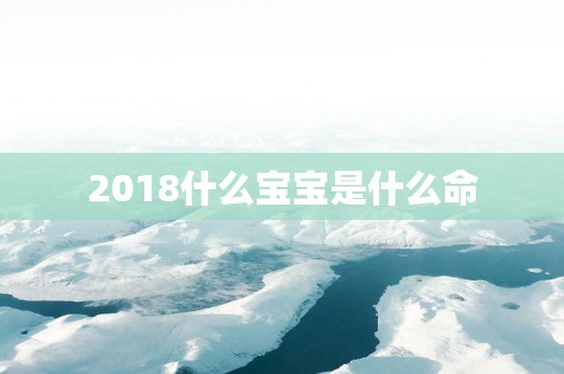 2018什么宝宝是什么命