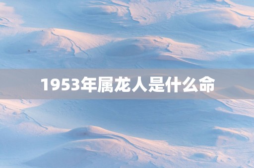 1953年属龙人是什么命