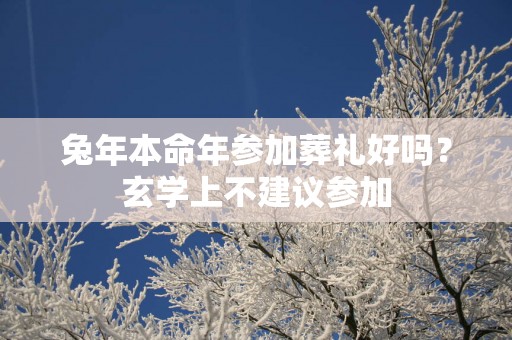 蛇年本命年参加葬礼好吗？玄学上不建议参加