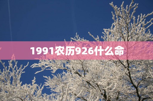 1991农历926什么命