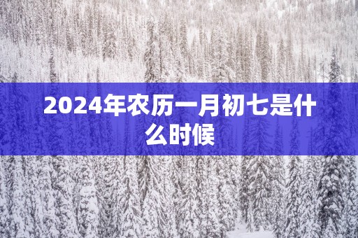 2025年农历一月初七是什么时候