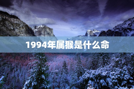 1994年属猴是什么命