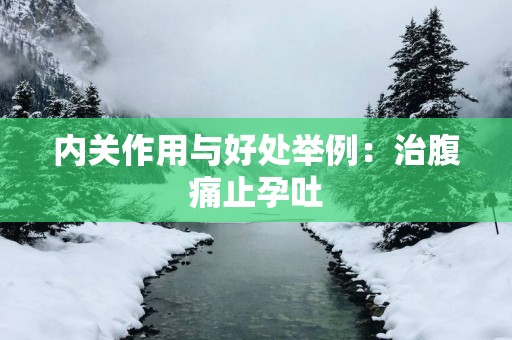 内关作用与好处举例：治腹痛止孕吐