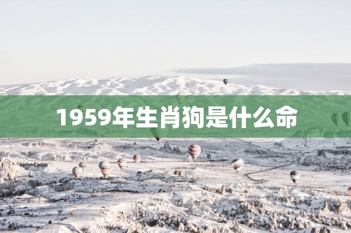 1959年生肖狗是什么命