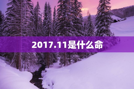 2017.11是什么命