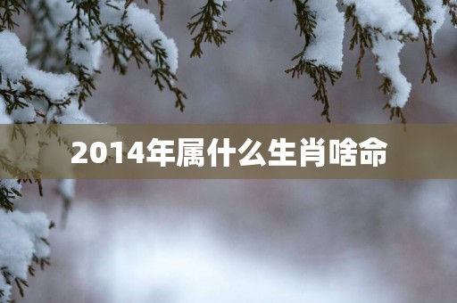 2014年属什么生肖啥命
