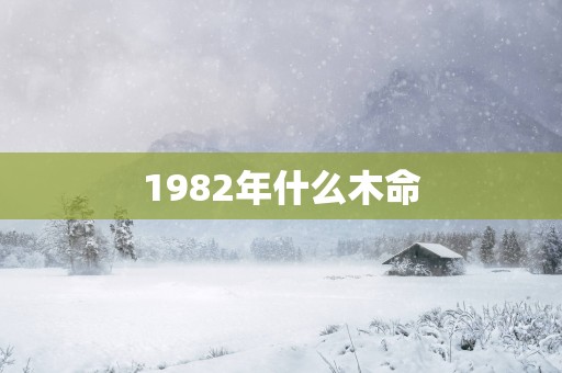 1982年什么木命