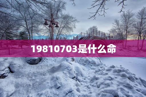 19810703是什么命