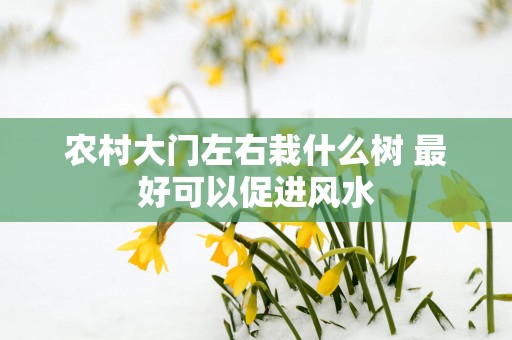 农村大门左右栽什么树 最好可以促进风水