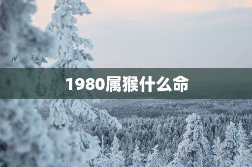 1980属猴什么命
