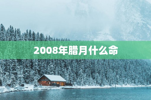 2008年腊月什么命