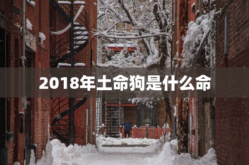 2018年土命狗是什么命