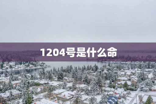 1204号是什么命