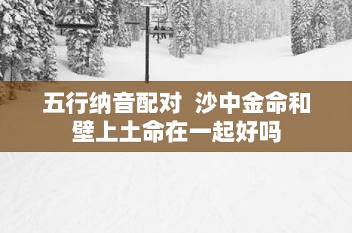 五行纳音配对  沙中金命和壁上土命在一起好吗