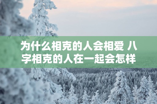 为什么相克的人会相爱 八字相克的人在一起会怎样