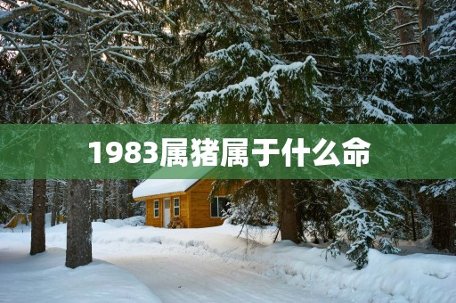 1983属猪属于什么命