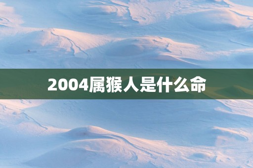 2004属猴人是什么命