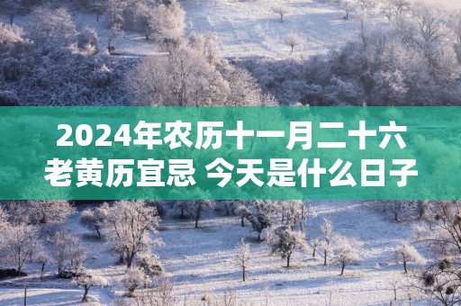 2025年农历十一月二十六老黄历宜忌 今天是什么日子