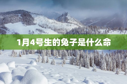 1月4号生的兔子是什么命