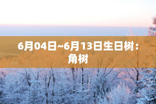 6月04日~6月13日生日树：角树