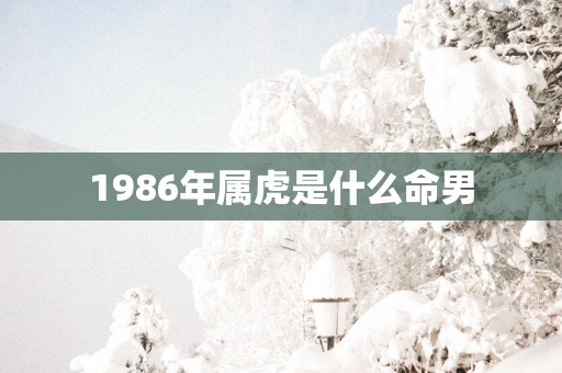 1986年属虎是什么命男
