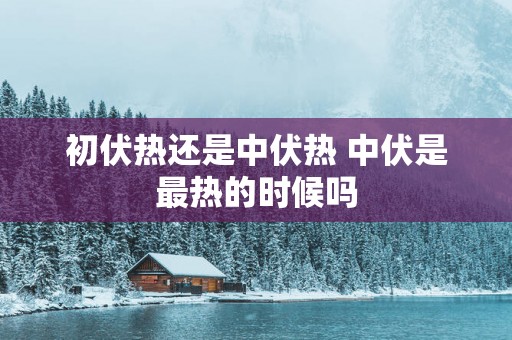 初伏热还是中伏热 中伏是最热的时候吗