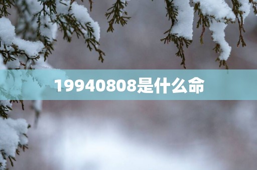 19940808是什么命