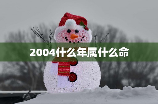 2004什么年属什么命