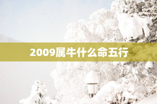 2009属牛什么命五行